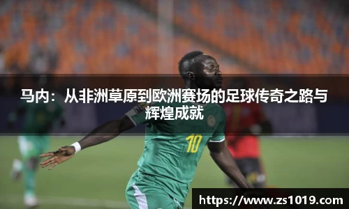 DG视讯官网